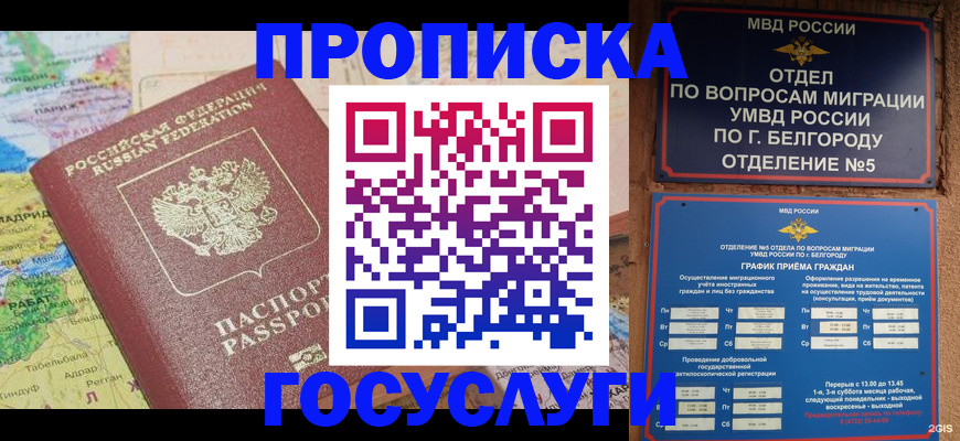 прописка регистрация в Кировске
